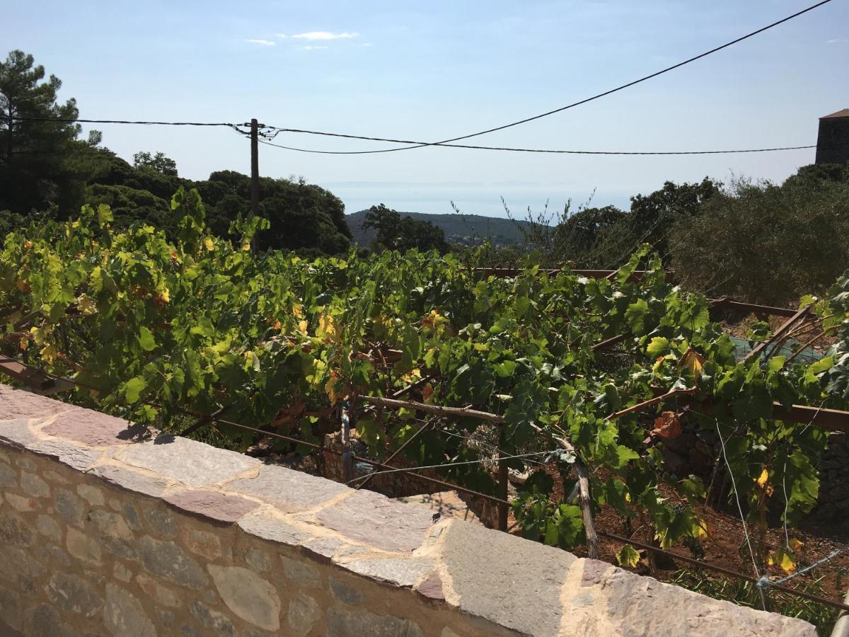 Peace In The Wildest Landscape Of Mani Villa Lagia Bagian luar foto