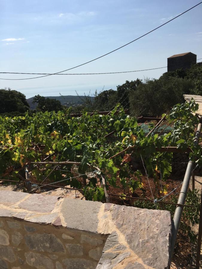 Peace In The Wildest Landscape Of Mani Villa Lagia Bagian luar foto